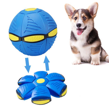 FlyBall™ Pelota Voladora para Perros